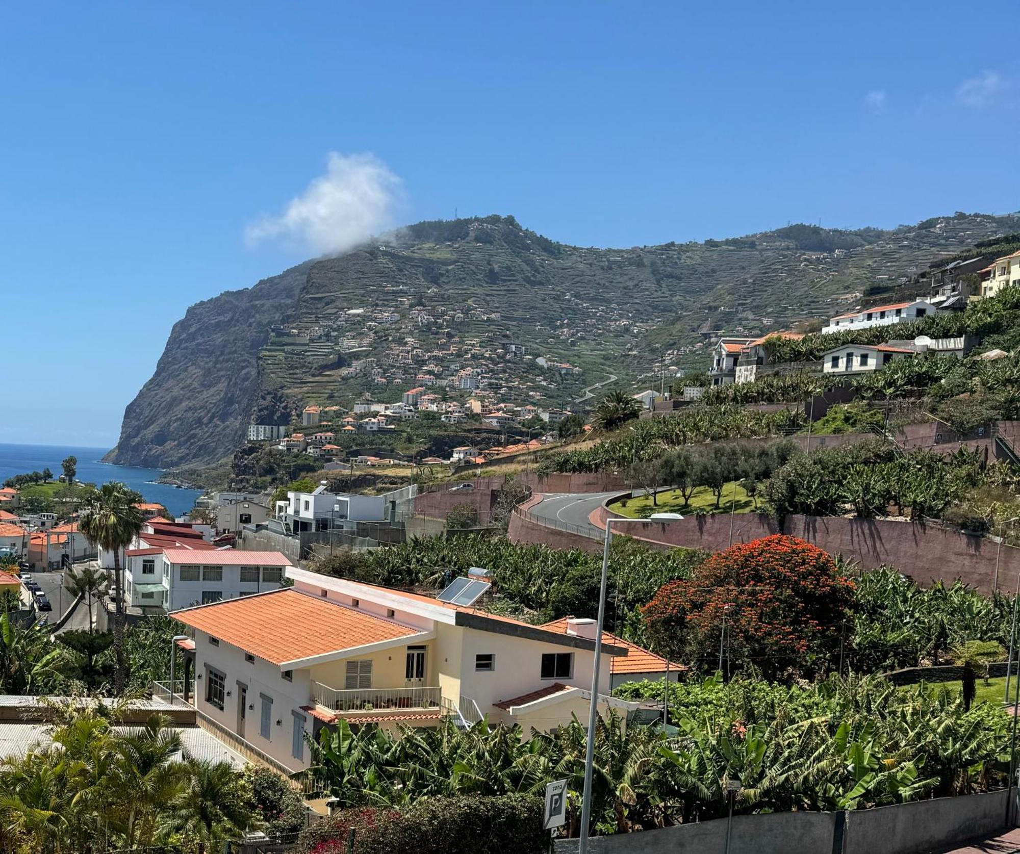 Alforra Residence 1-T2-Centro-Praias-Levadas Câmara de Lobos Dış mekan fotoğraf