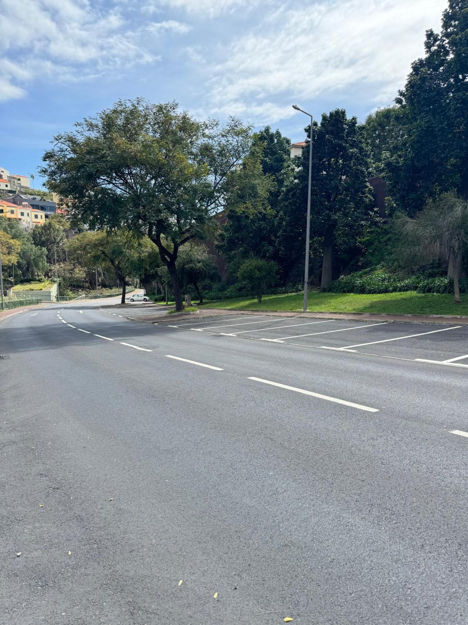 Alforra Residence 1-T2-Centro-Praias-Levadas Câmara de Lobos Dış mekan fotoğraf